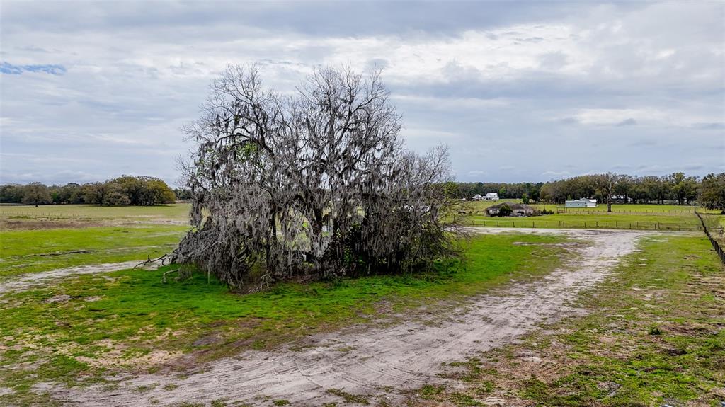 Northeast 160th Avenue Williston, FL 32696 - Photo 3 of 44 a view of a lake with a big yard