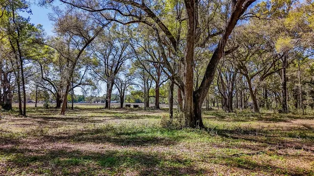 a view of dirt yard with green space