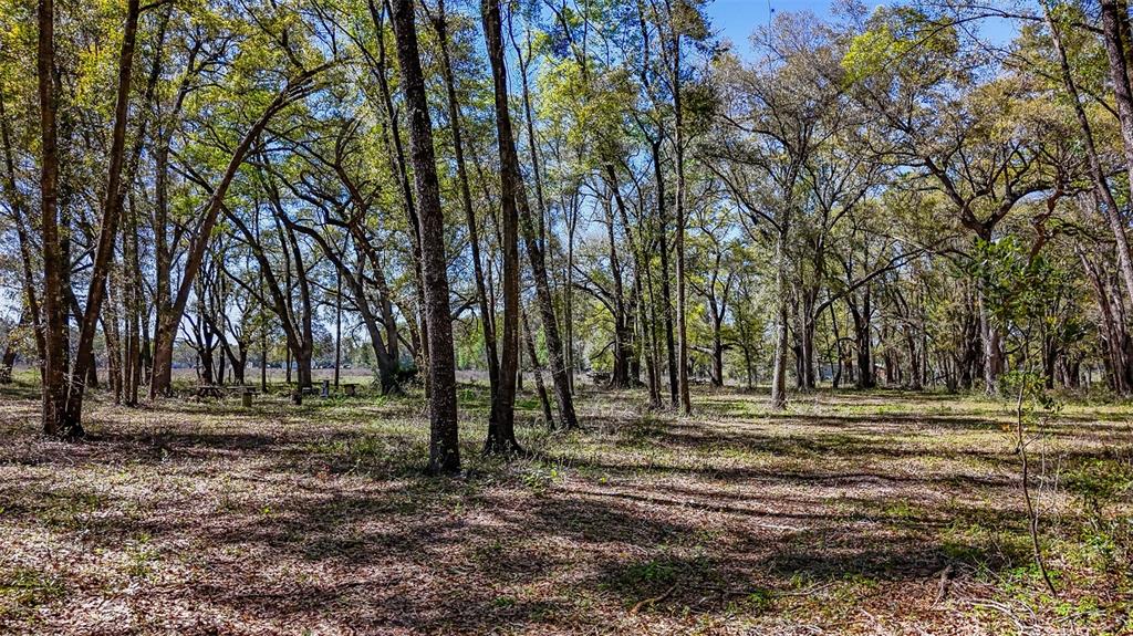 Northeast 160th Avenue Williston, FL 32696 - Photo 34 of 44 a view of outdoor space with trees