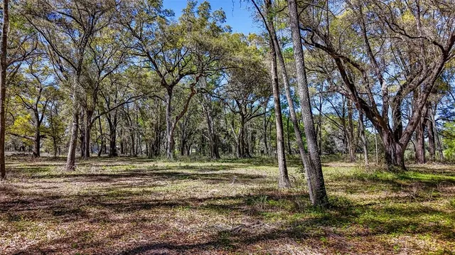 a view of outdoor space with trees