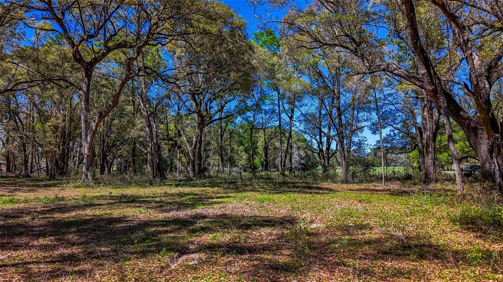 Northeast 160th Avenue Williston, FL 32696 - Photo 36 of 44 a view of outdoor space with trees
