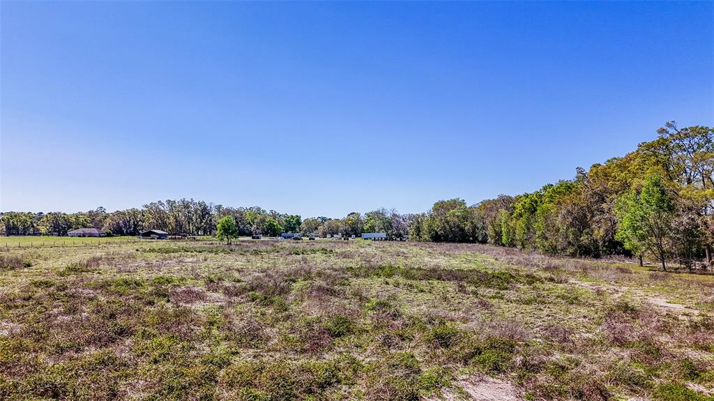 Northeast 160th Avenue Williston, FL 32696 - Photo 40 of 44 a view of a field with trees in background