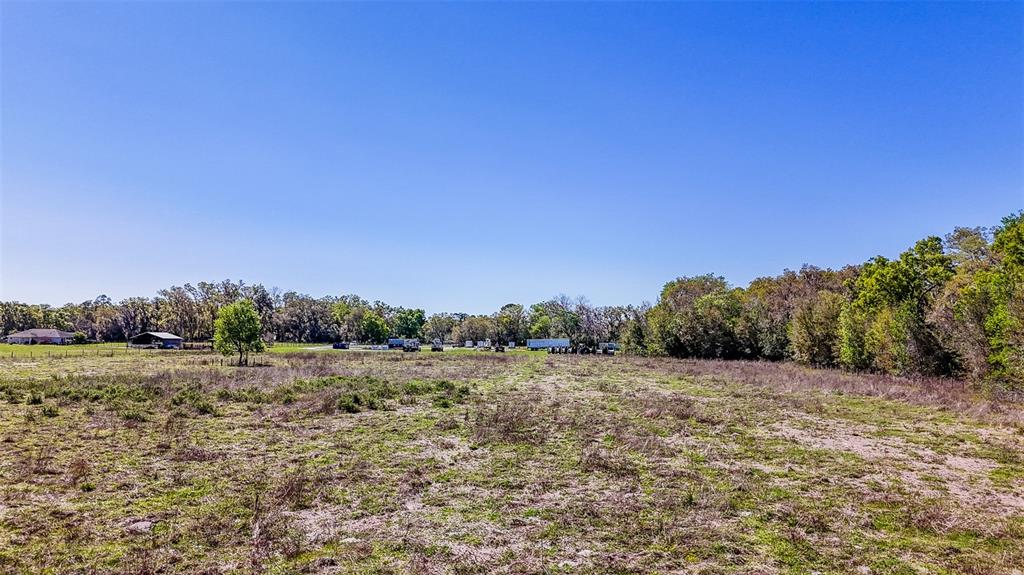 Northeast 160th Avenue Williston, FL 32696 - Photo 41 of 44 a view of a field with trees in background