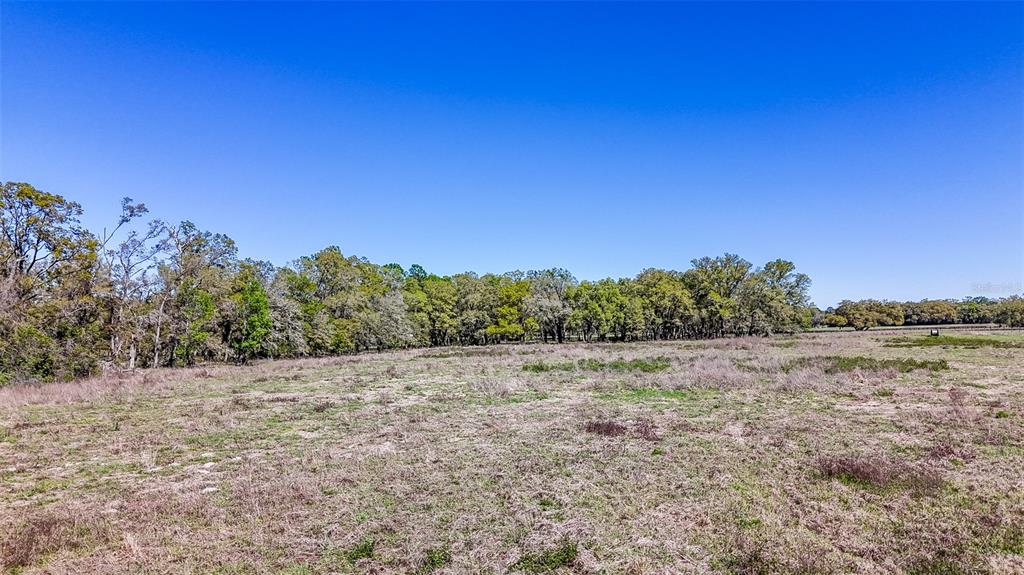 Northeast 160th Avenue Williston, FL 32696 - Photo 44 of 44 a view of an outdoor space with mountain view