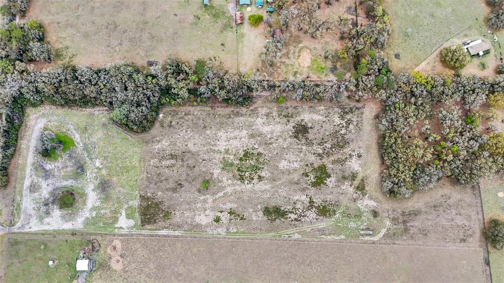 Northeast 160th Avenue Williston, FL 32696 - Photo 6 of 44 a view of a yard with plants and wooden fence
