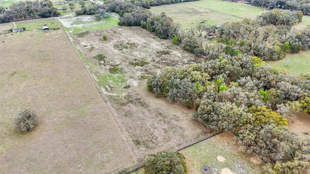 Northeast 160th Avenue Williston, FL 32696 - Photo 9 of 44 a view of a dry yard with wooden fence