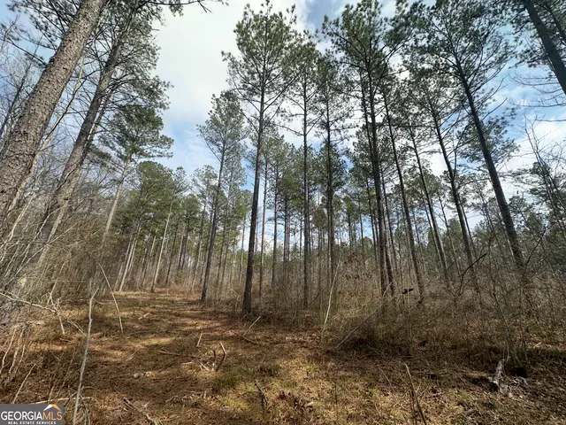 $2,425,000 | 210.73 Acres, Gay, GA 30218