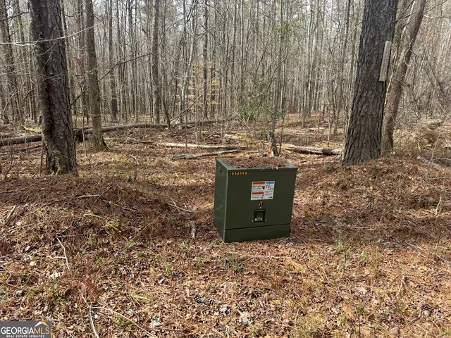 $2,425,000 | 210.73 Acres, Gay, GA 30218