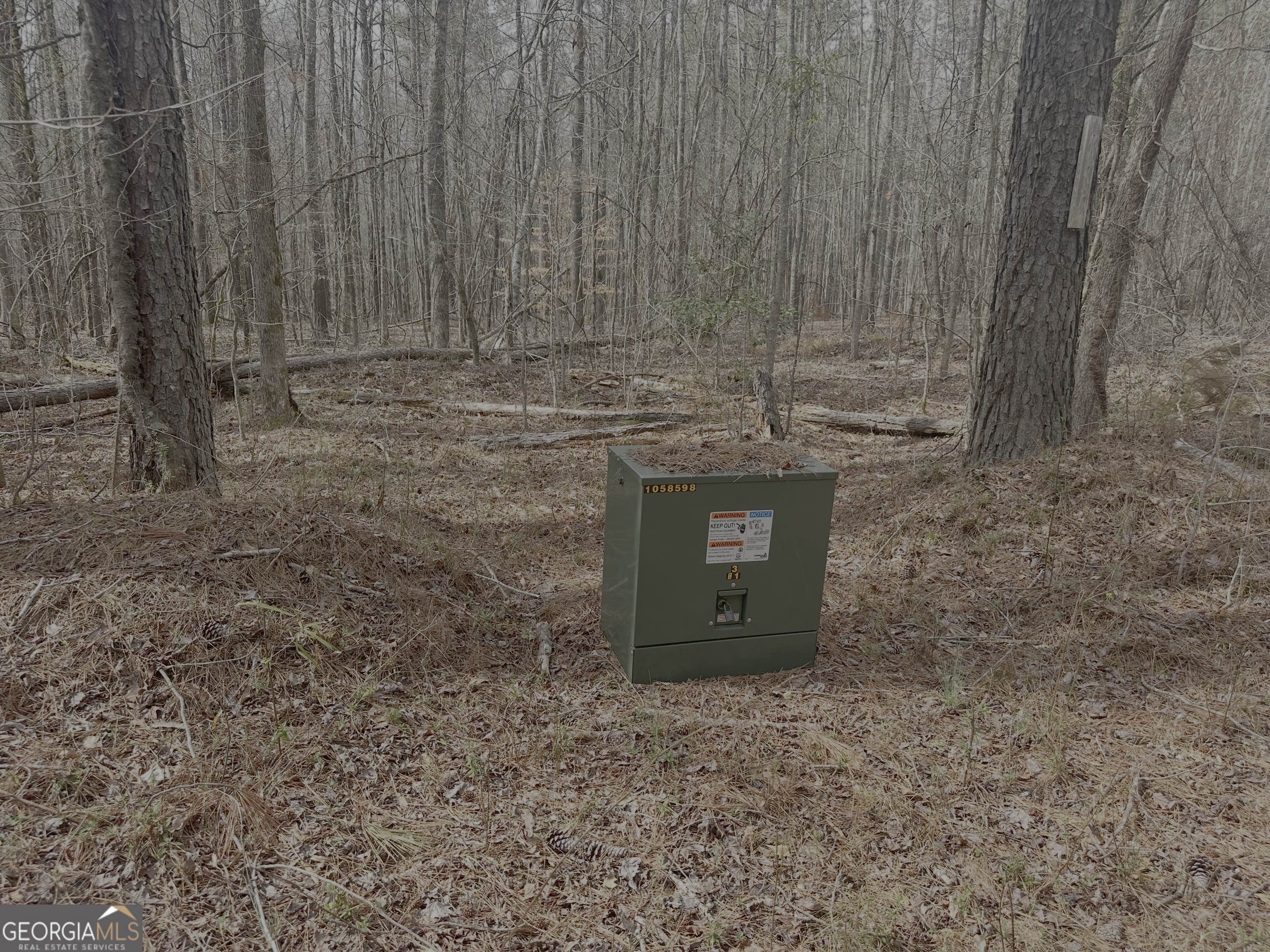 210.73 Acres Gay, GA 30218 - Photo 11 of 14