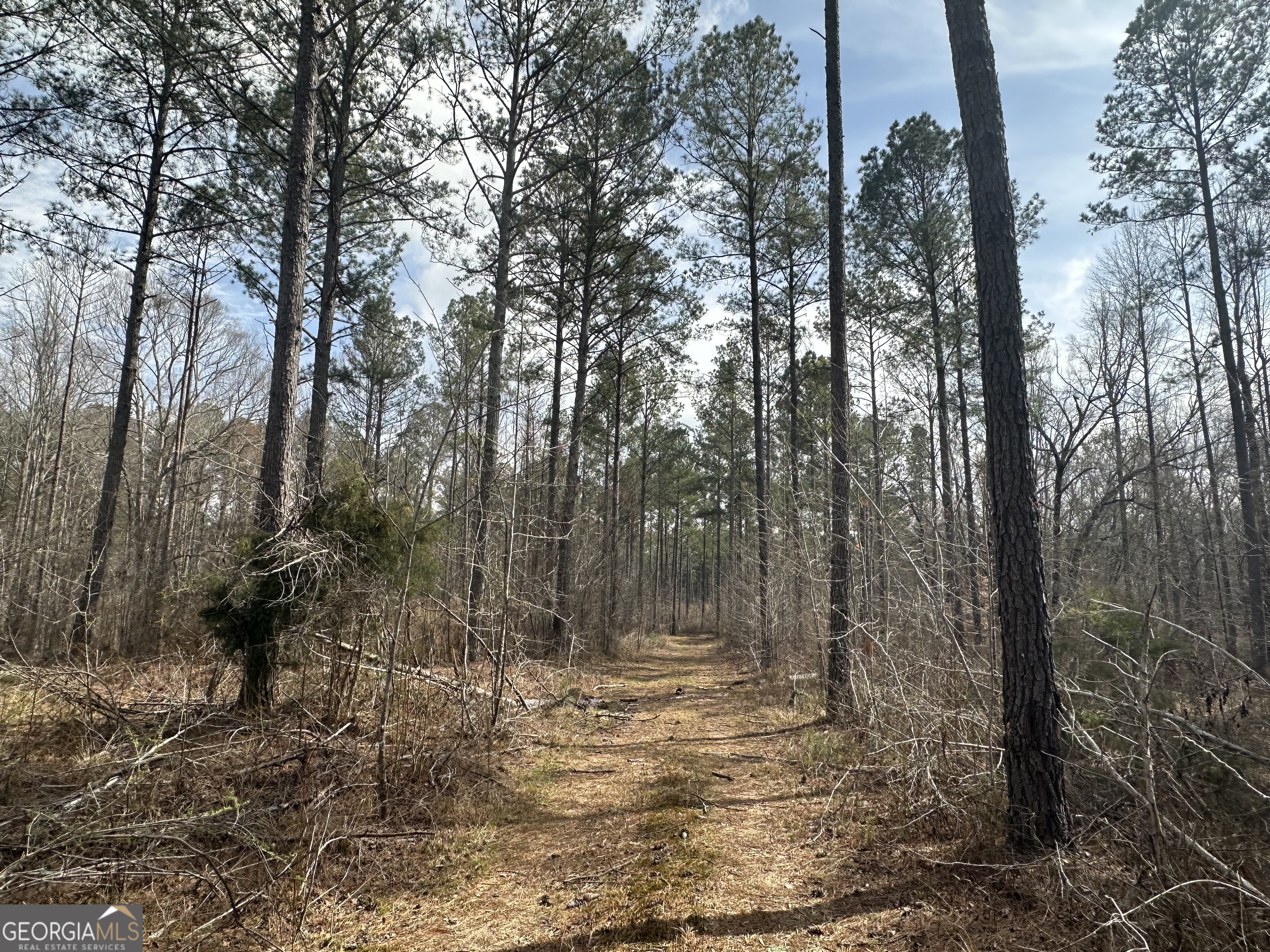 210.73 Acres Gay, GA 30218 - Photo 13 of 14
