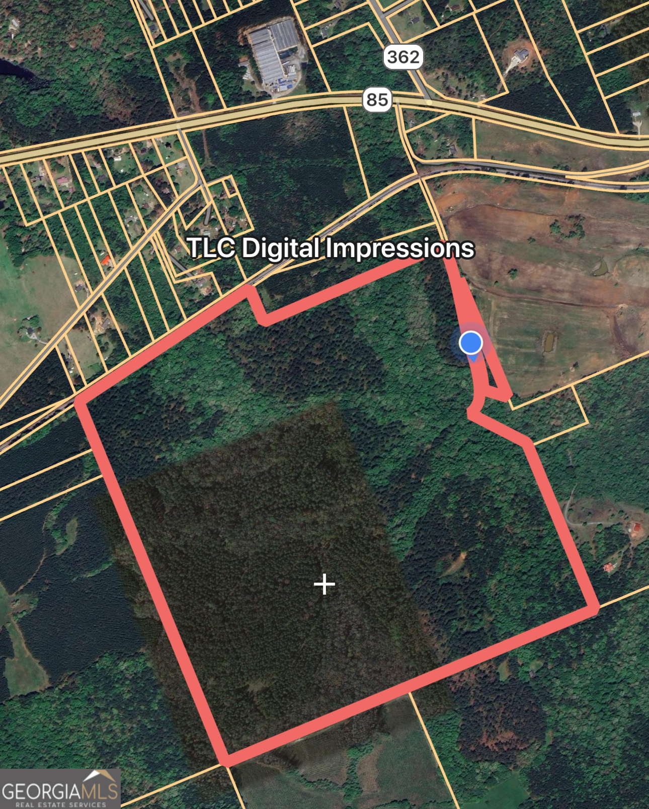 210.73 Acres Gay, GA 30218 - Photo 3 of 14