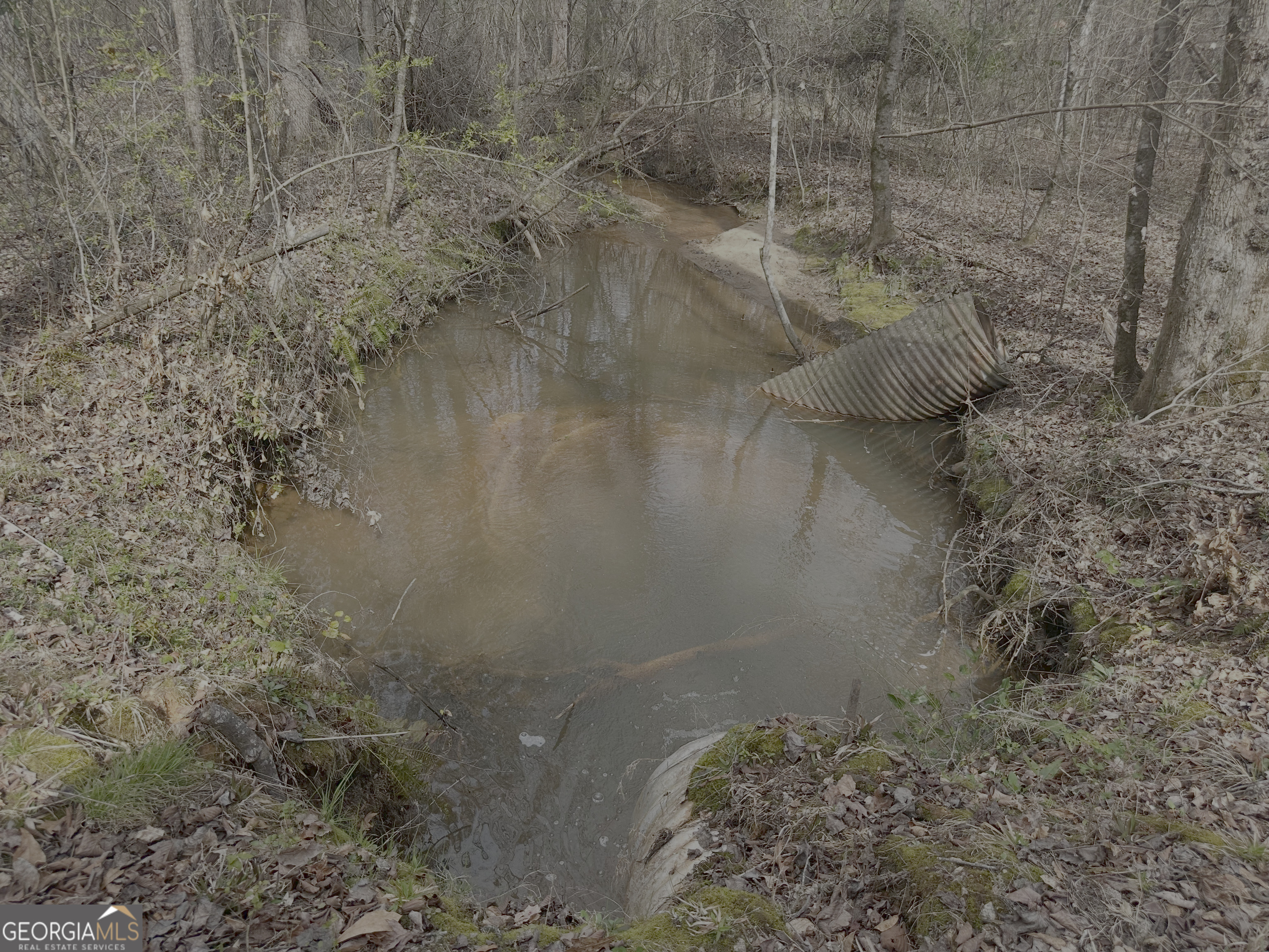 210.73 Acres Gay, GA 30218 - Photo 4 of 14