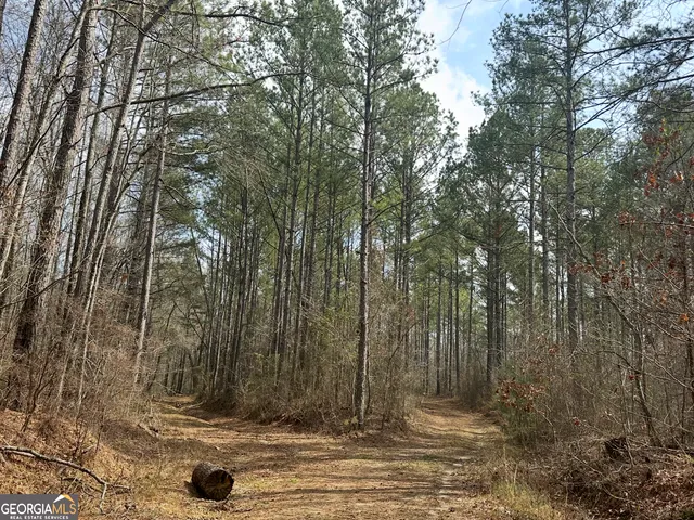 $2,425,000 | 210.73 Acres, Gay, GA 30218