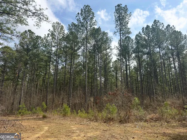 $2,425,000 | 210.73 Acres, Gay, GA 30218