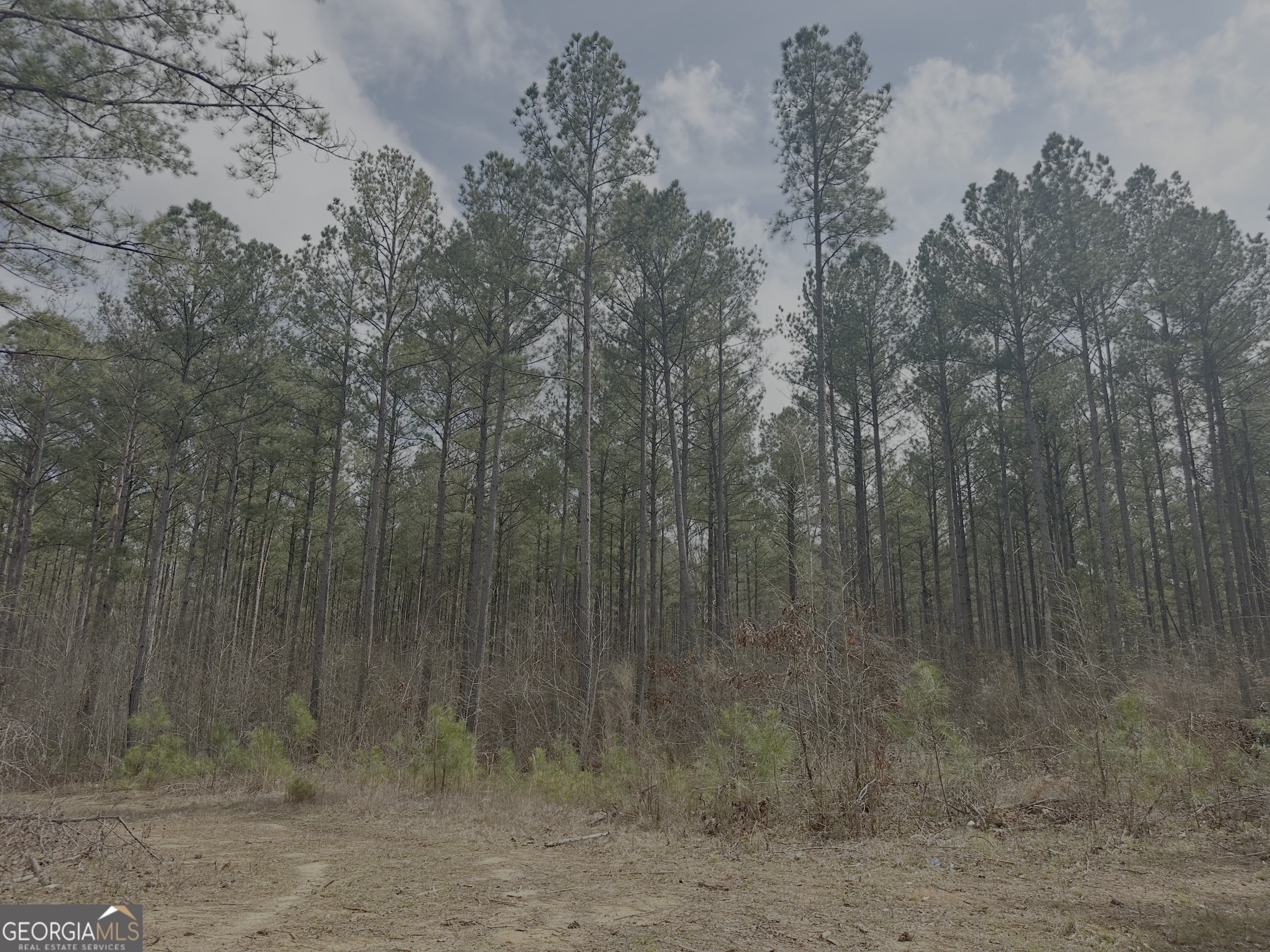 210.73 Acres Gay, GA 30218 - Photo 6 of 14