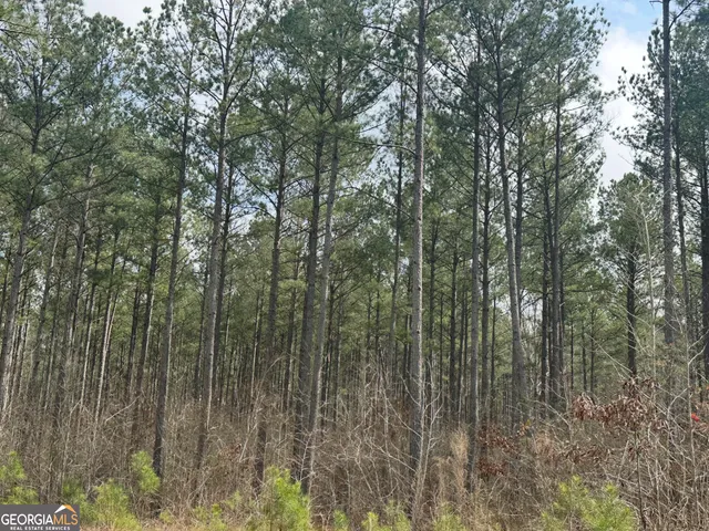 $2,425,000 | 210.73 Acres, Gay, GA 30218