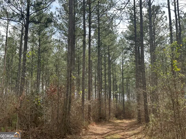 $2,425,000 | 210.73 Acres, Gay, GA 30218