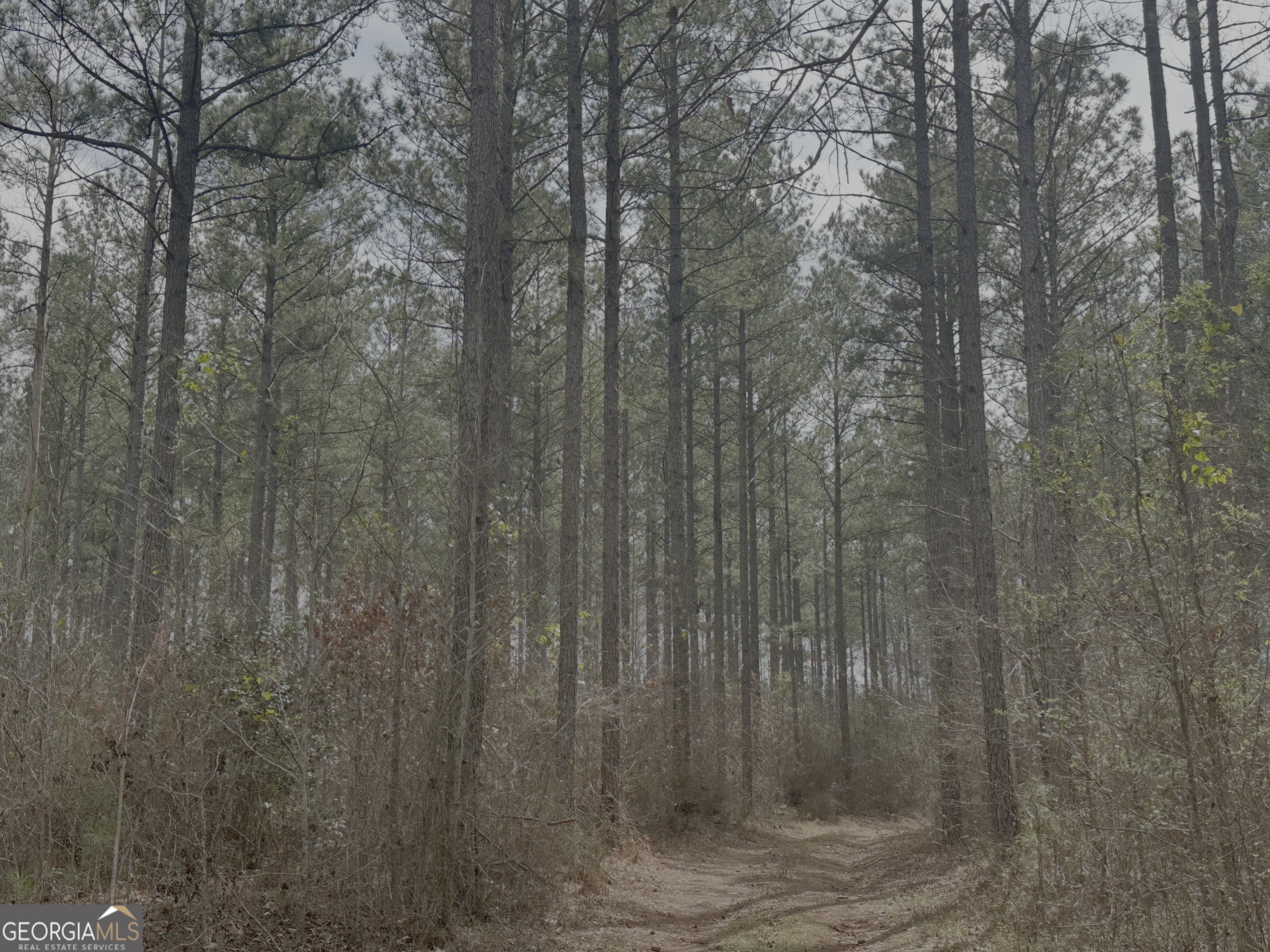 210.73 Acres Gay, GA 30218 - Photo 8 of 14