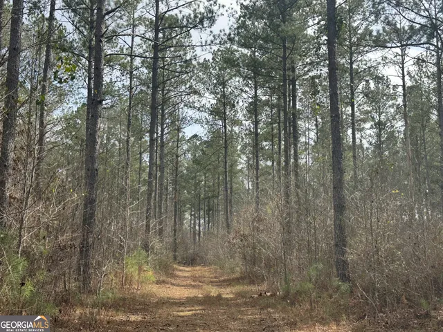 $2,425,000 | 210.73 Acres, Gay, GA 30218