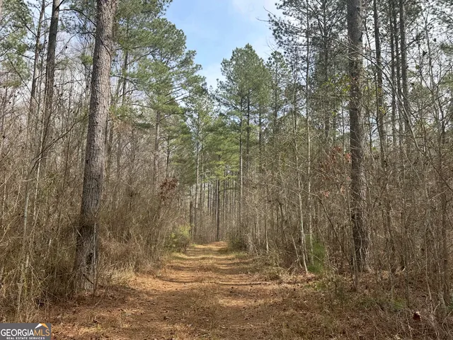 $2,425,000 | 210.73 Acres, Gay, GA 30218
