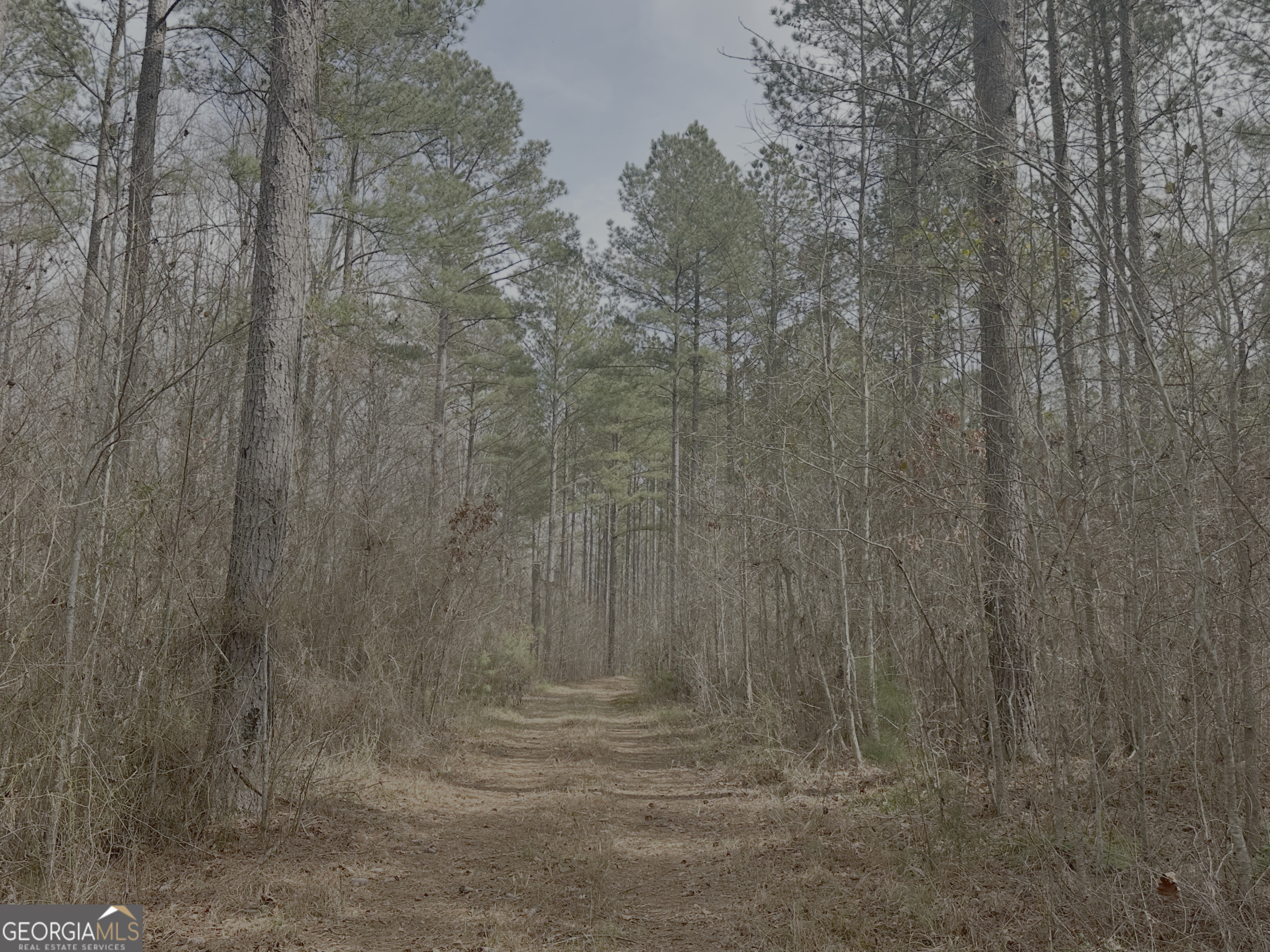 210.73 Acres Gay, GA 30218 - Photo 10 of 14