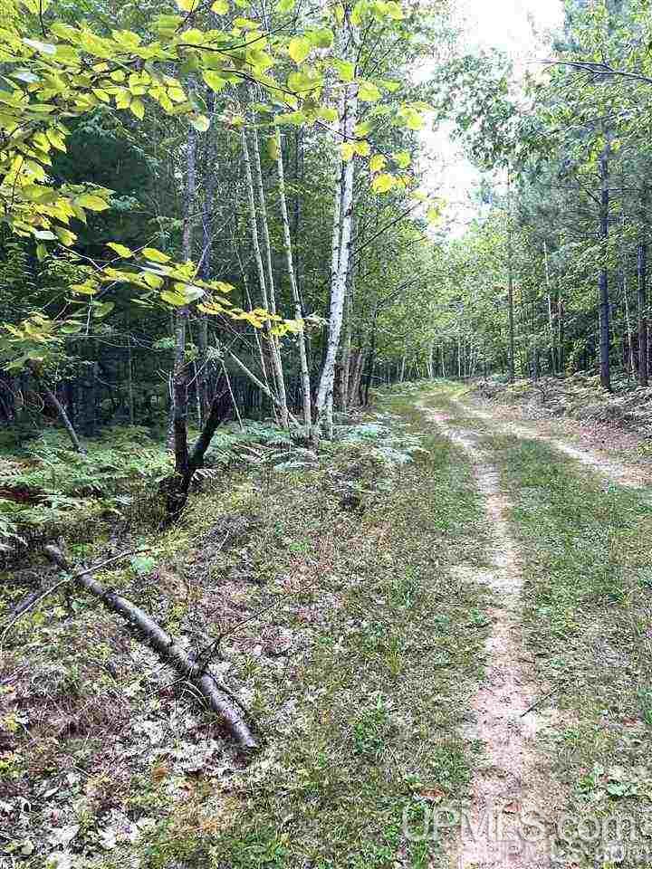 Tbd Timber Creek Road Marquette, MI 49855 - Photo 3 of 14