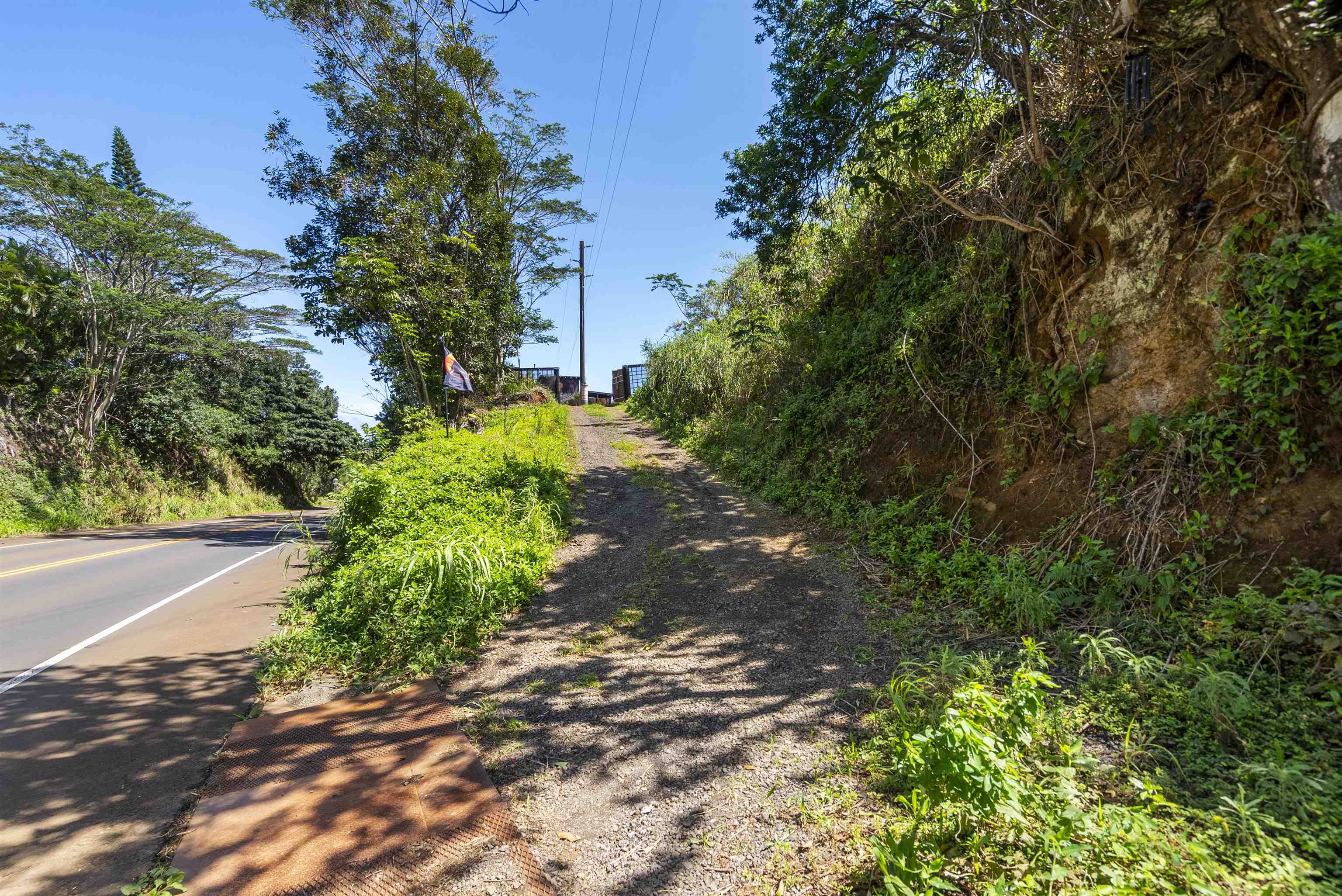 3980 Hana Highway Haiku, HI 96708 - Photo 25 of 33 a view of a garden with plants and large trees