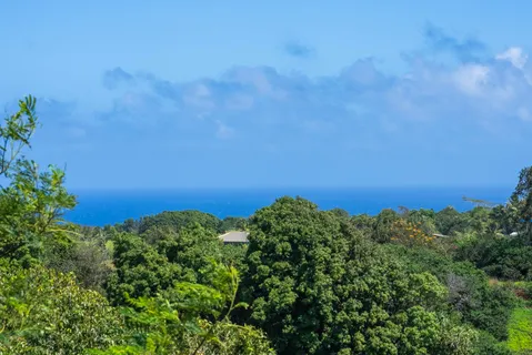 $699,000 | 3980 Hana Highway, Haiku, HI 96708