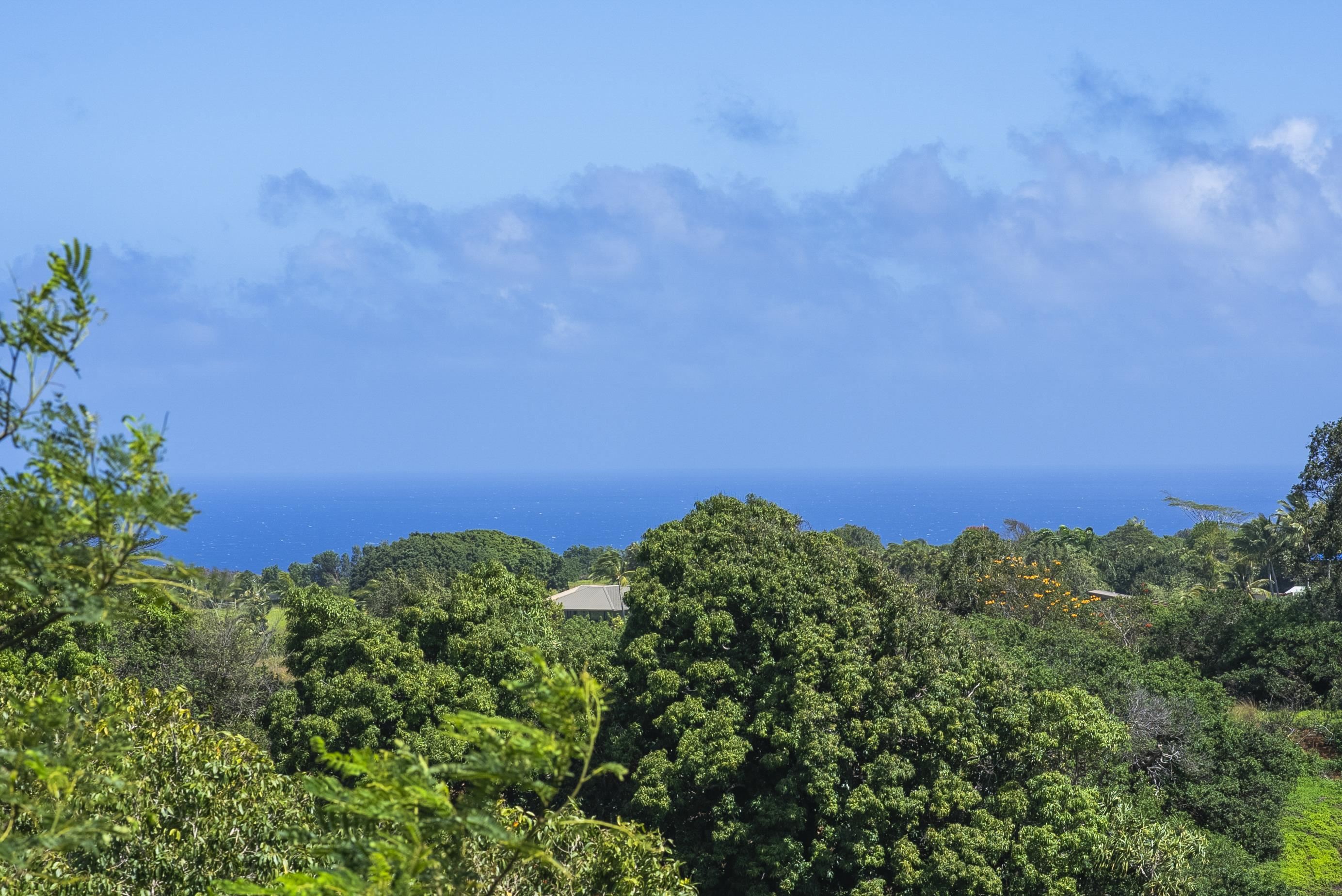 3980 Hana Highway Haiku, HI 96708 - Photo 4 of 33 a view of a green field