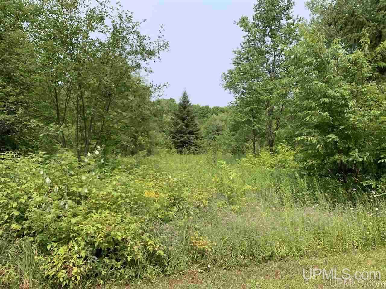 E10602-e10596 Carmody Road Munising, MI 49862 - Photo 29 of 42