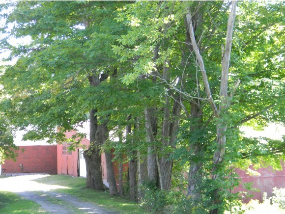 1110 Chester Road Springfield, VT 05156 - Photo 3 of 18