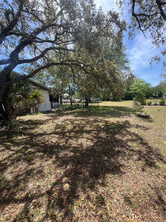 13020 Sun Road Brooksville, FL 34613 - Photo 33 of 33 a big yard with lots of green space