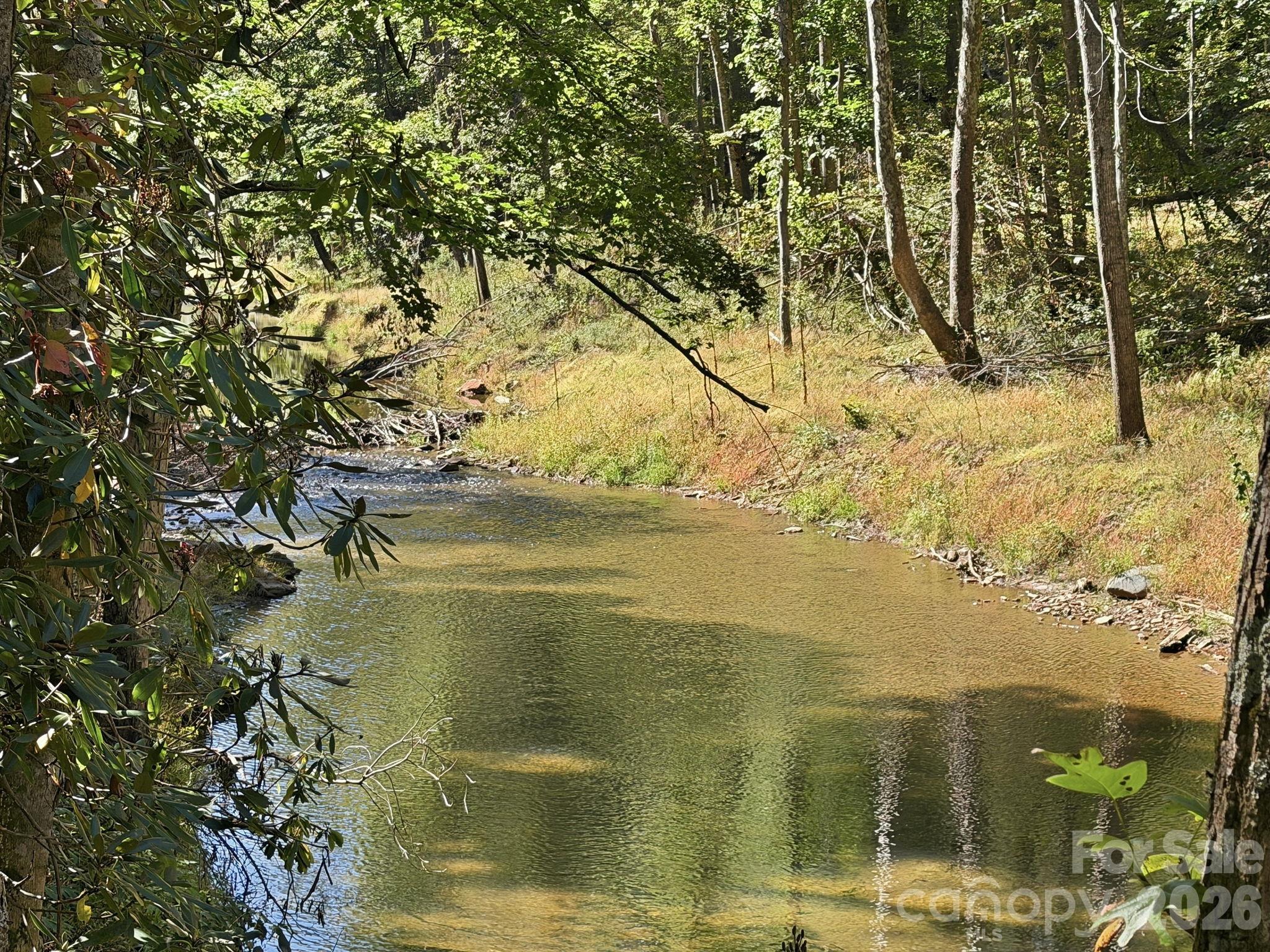 2711 Rabbit Hop Road Spruce Pine, NC 28777 - Photo 43 of 47 Gallery Image 43