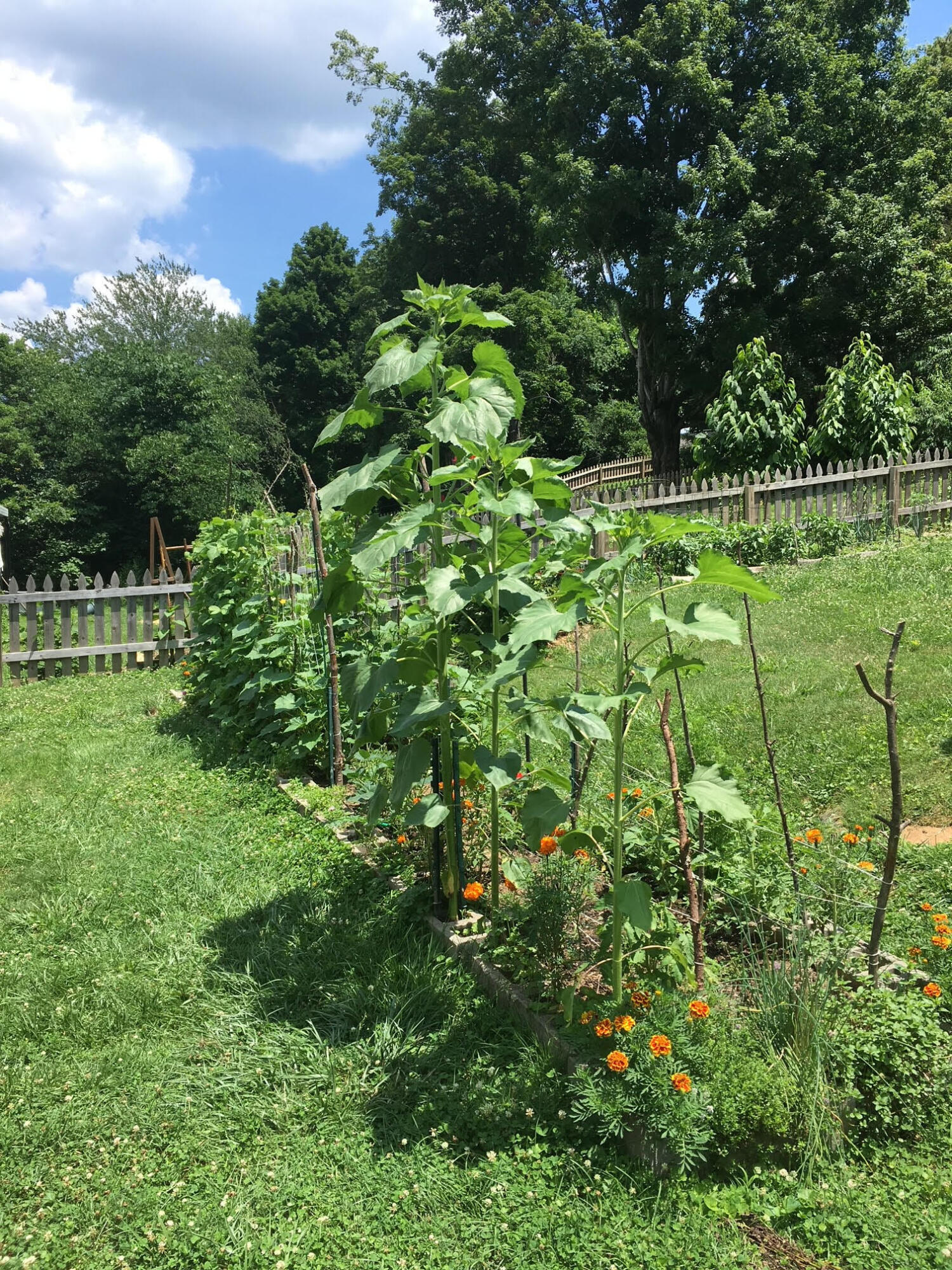 113 Cherry Road Berea, KY 40403 - Photo 31 of 33 unnamed
