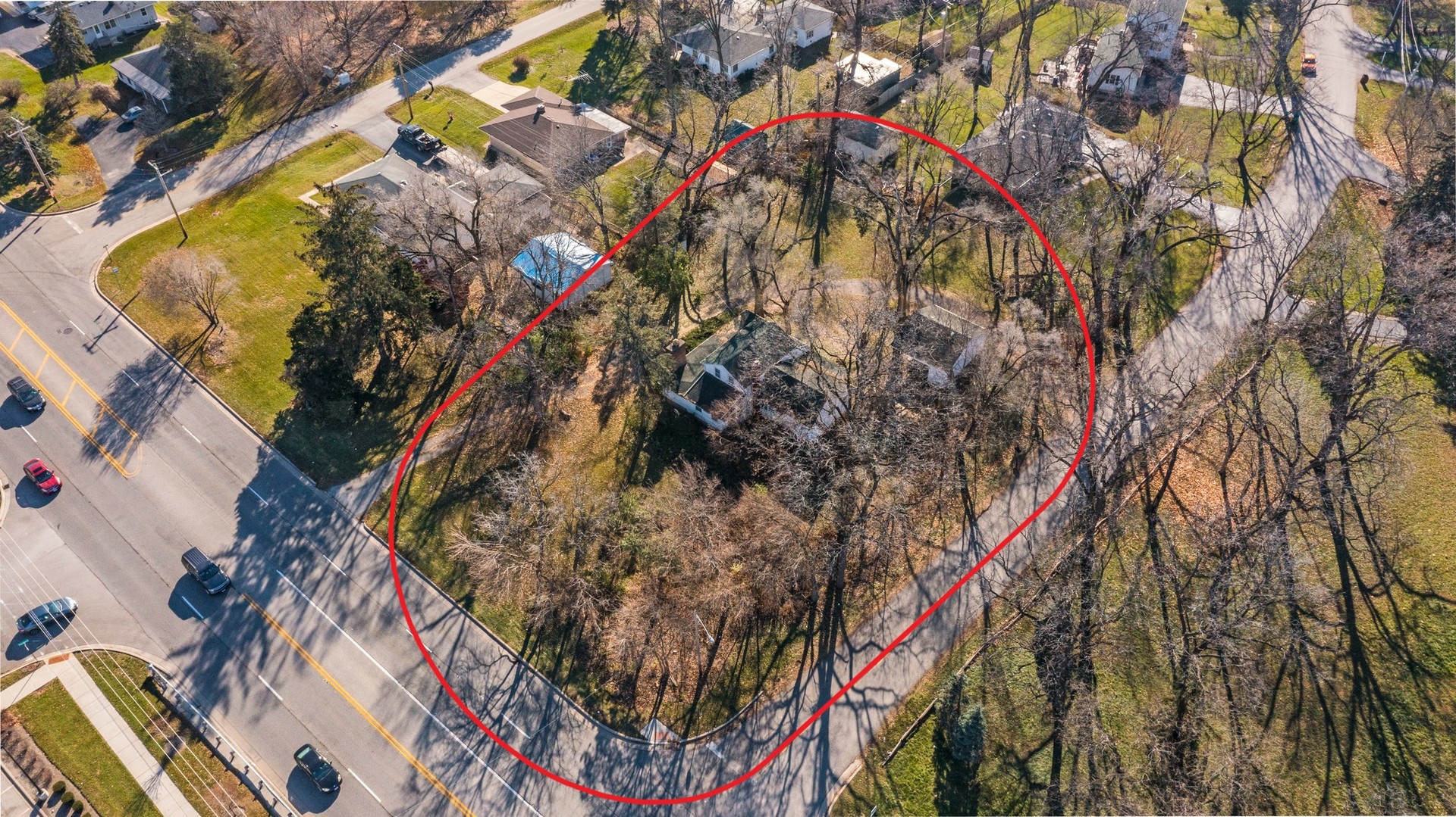 2576 Plainfield Road Joliet, IL 60435 - Photo 8 of 13 a close up of a tree