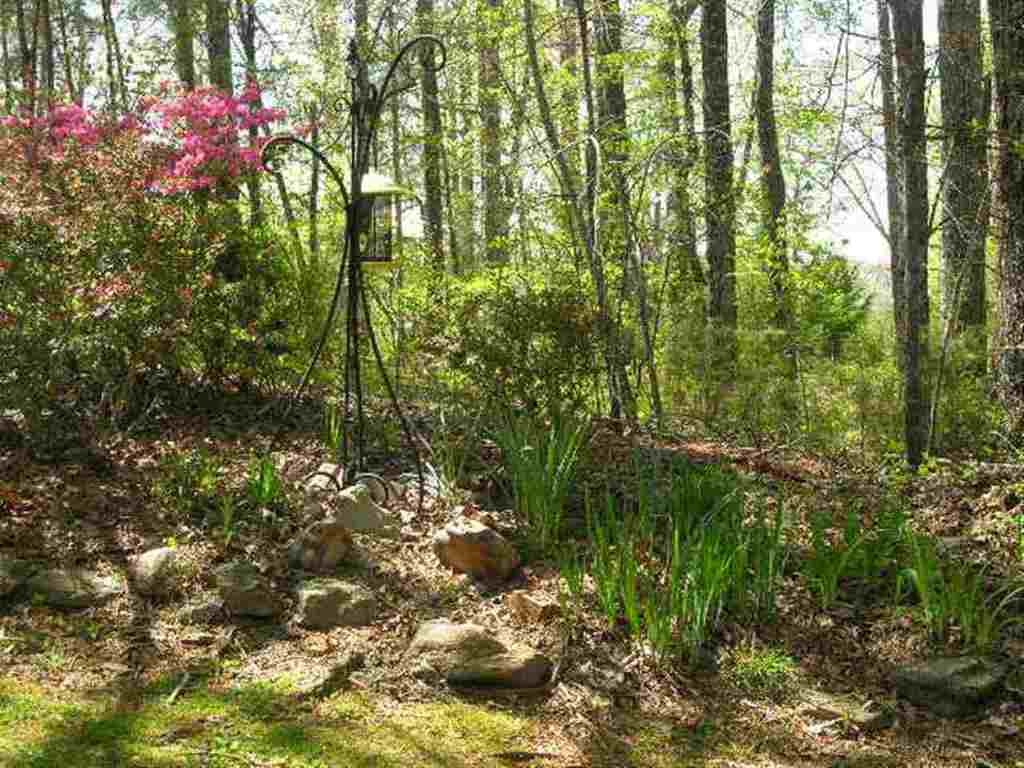 106 Hickory Ridge Court Central, SC 29630 - Photo 31 of 35 Gallery Image 31