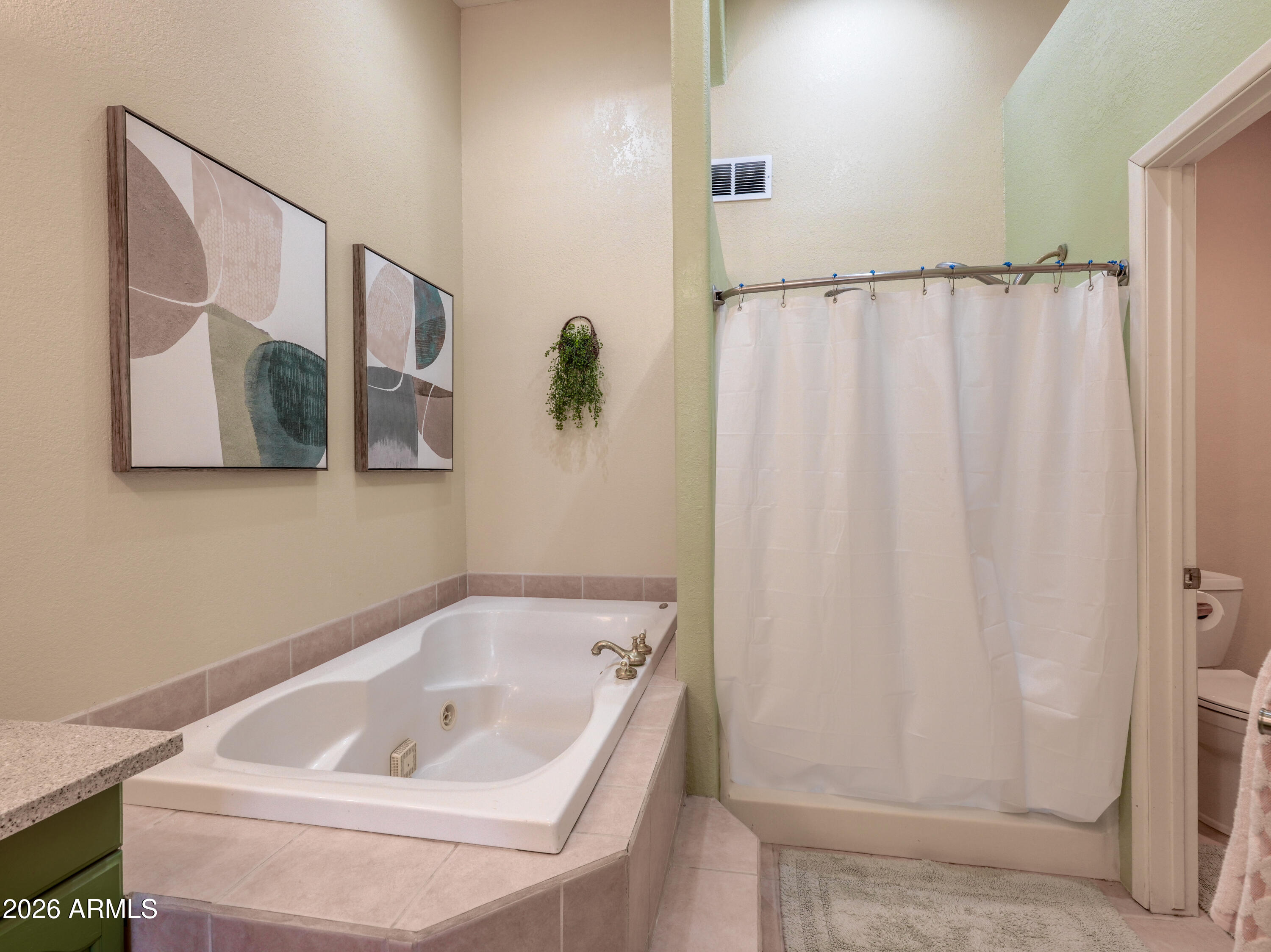 1224 North Acacia Road Apache Junction, AZ 85119 - Photo 24 of 48 a bathroom with a tub and shower