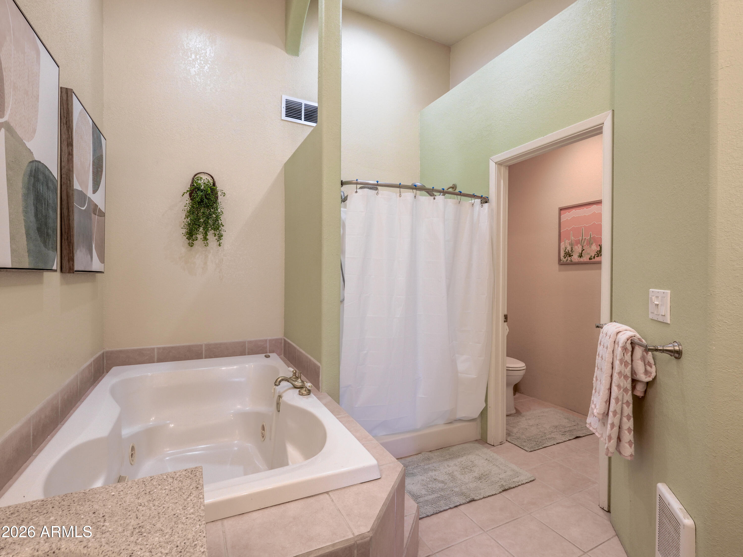1224 North Acacia Road Apache Junction, AZ 85119 - Photo 25 of 48 a bathroom with a tub a rug and a toilet