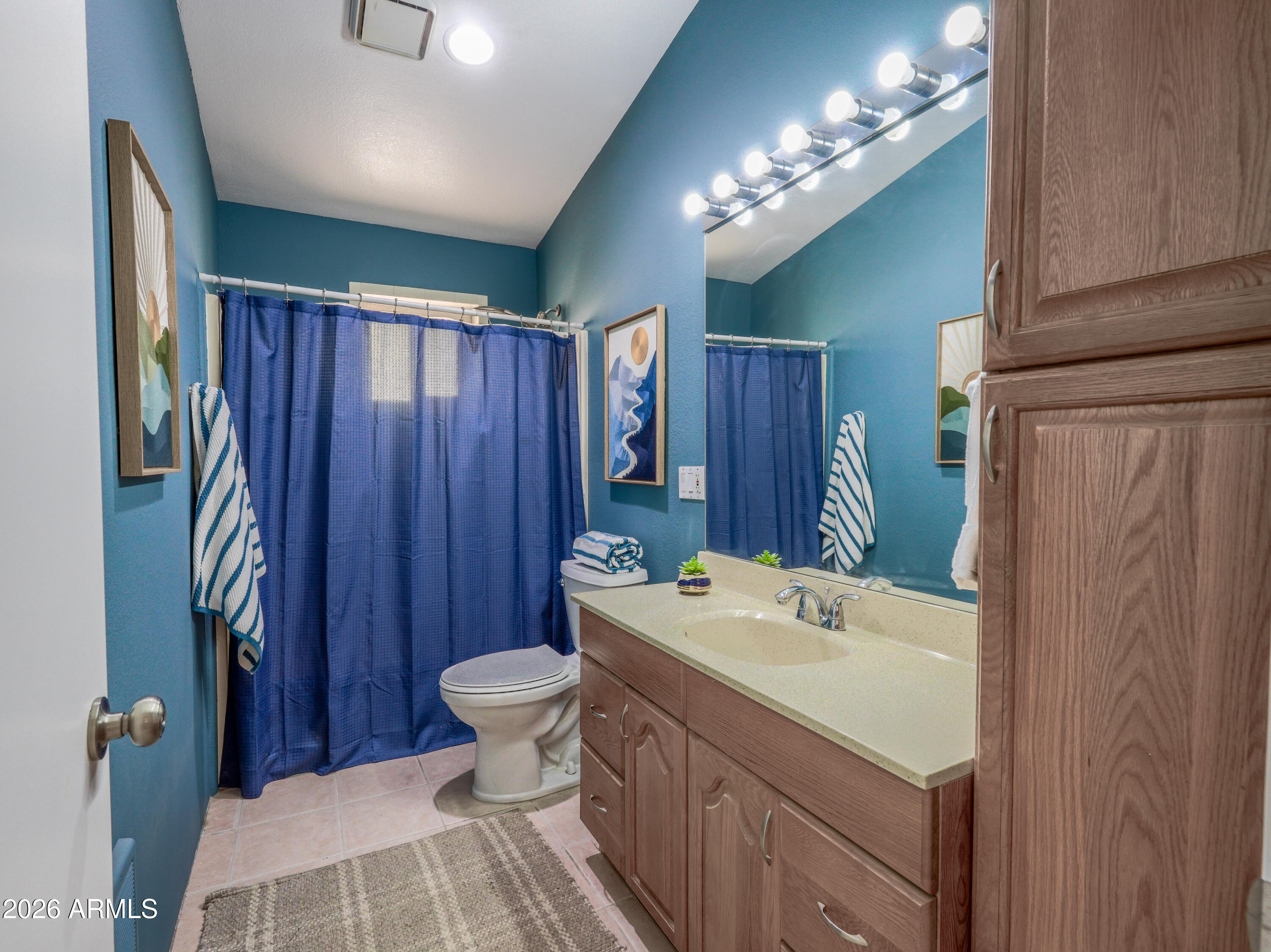 1224 North Acacia Road Apache Junction, AZ 85119 - Photo 35 of 48 a bathroom with a sink toilet and shower