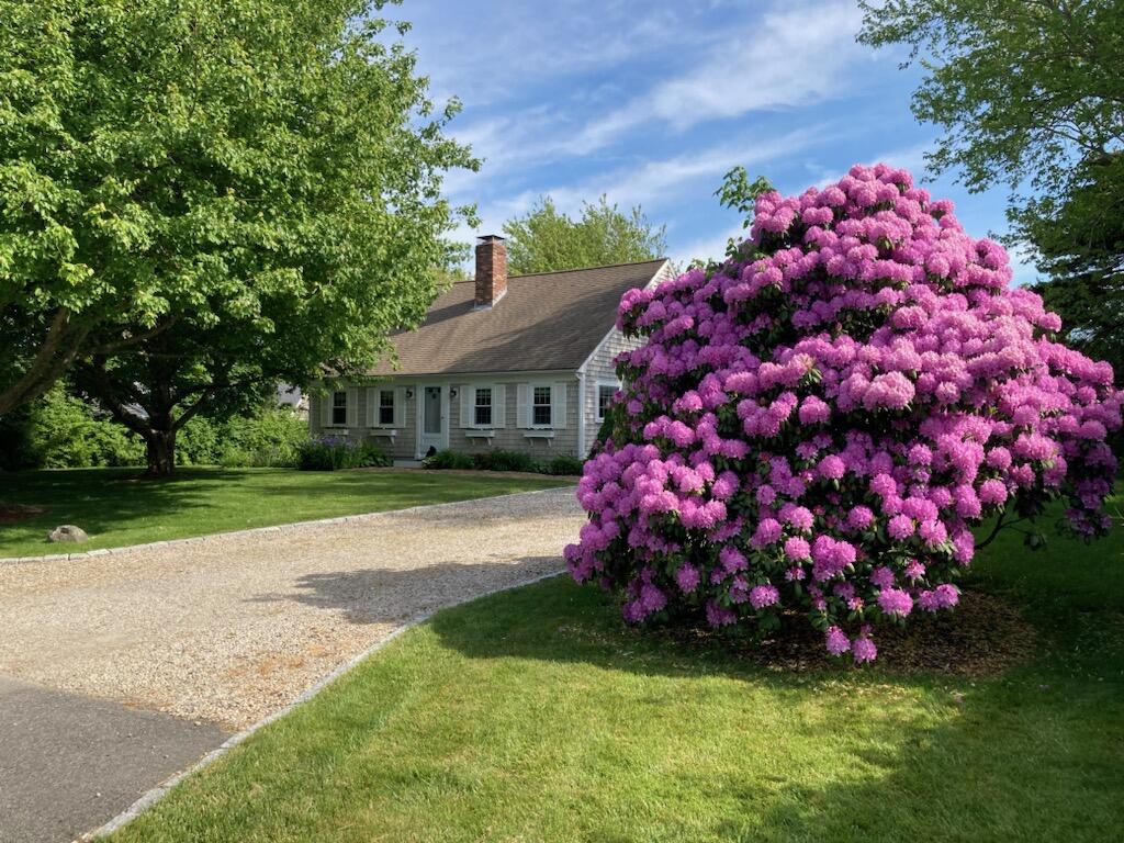 11 Moody Drive Sandwich, MA 02563 - Photo 3 of 50 rhodi with home