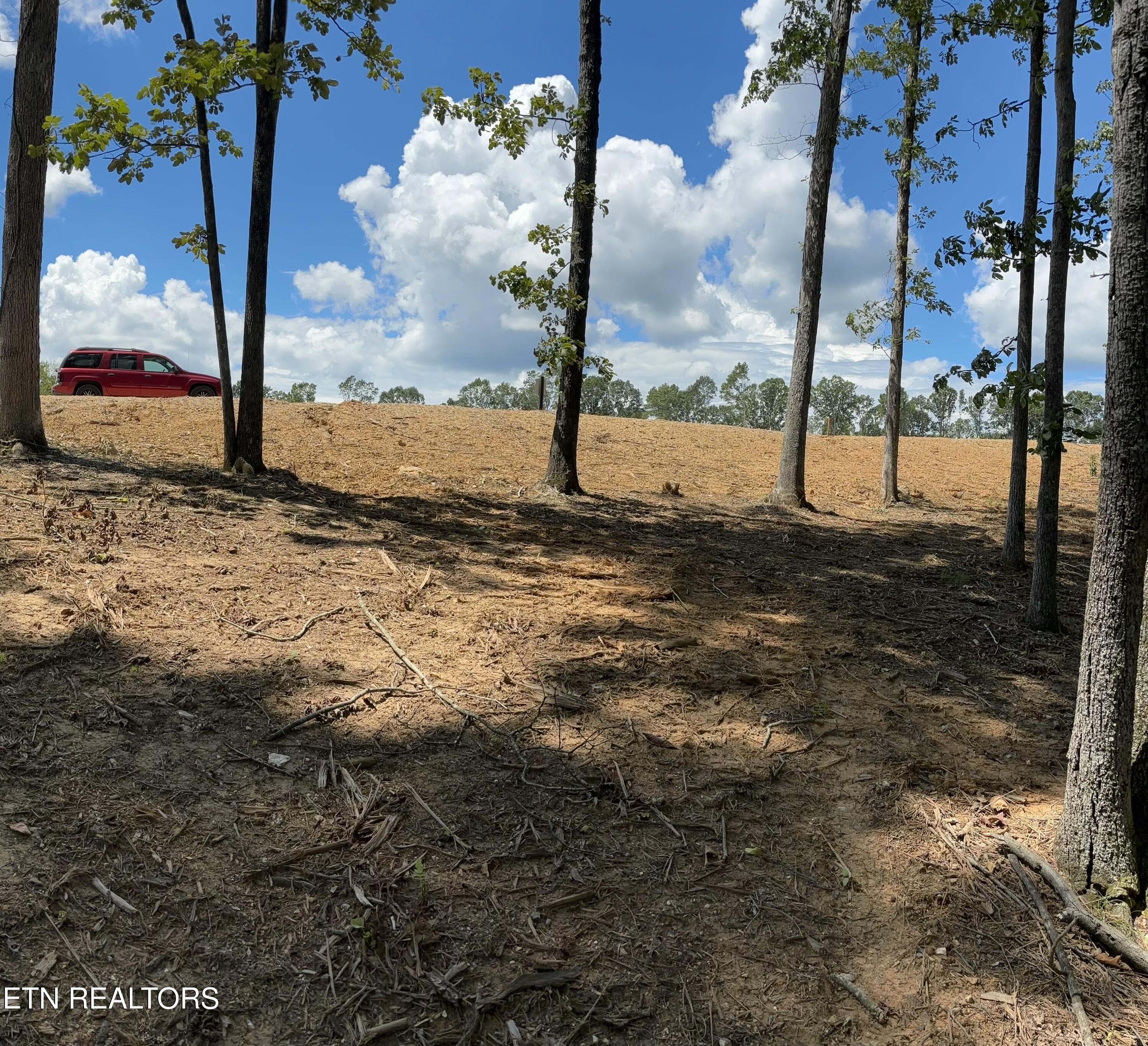 121 Cherry Tree Lane Loudon, TN 37774 - Photo 4 of 4 Lot 31 view3