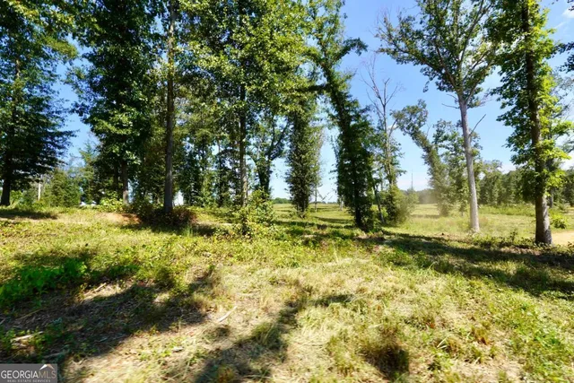 a view of a yard with swimming pool