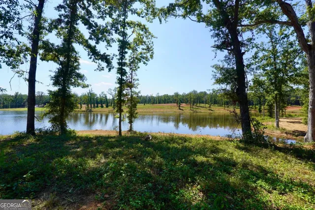 a view of a lake in between two large trees