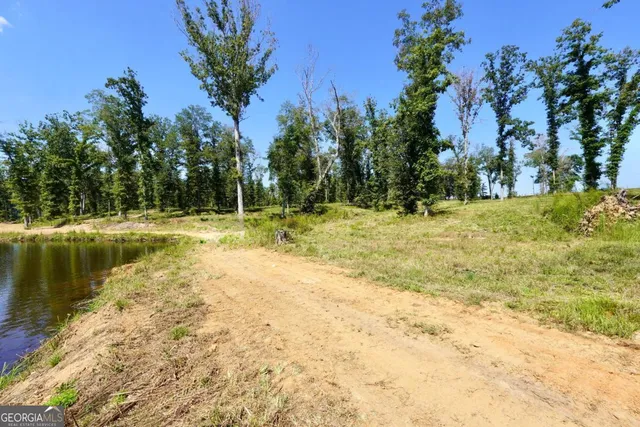 a view of swimming pool with a yard