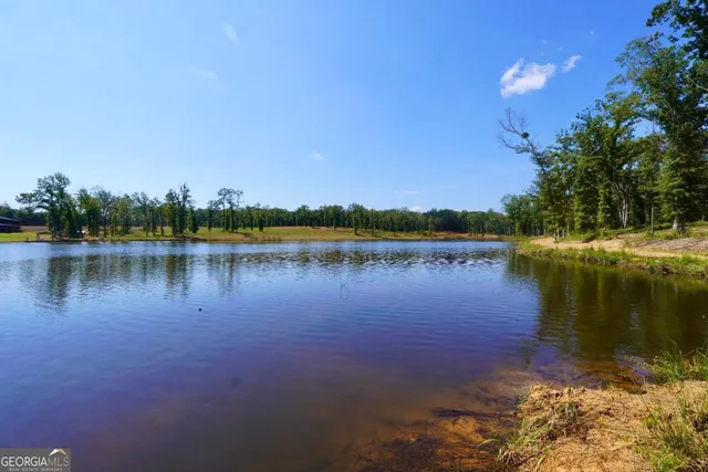 a view of a lake with houses in the background