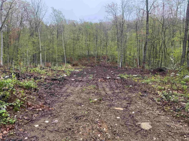 $299,000 | 0 Upper Plains Road, Salisbury, VT 05769