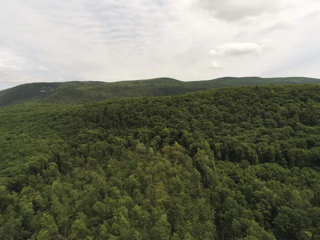 $299,000 | 0 Upper Plains Road, Salisbury, VT 05769