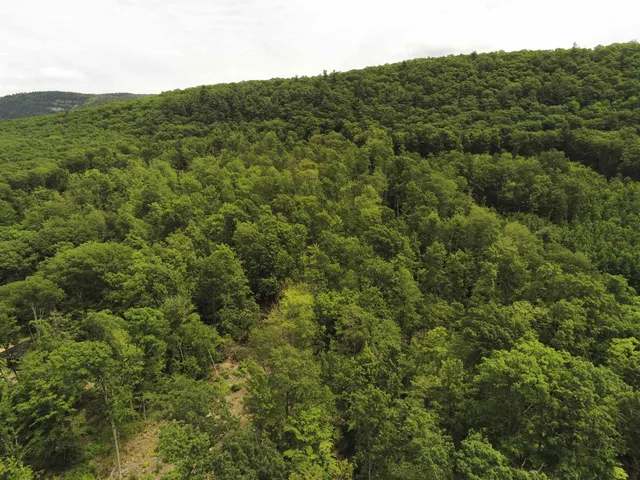 $299,000 | 0 Upper Plains Road, Salisbury, VT 05769