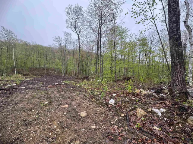 $299,000 | 0 Upper Plains Road, Salisbury, VT 05769