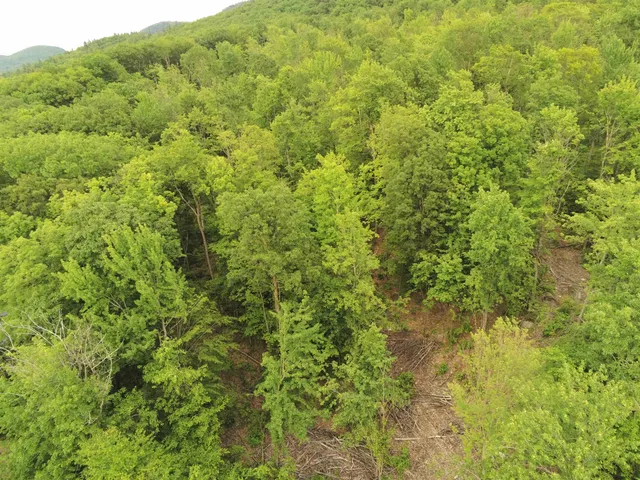 $299,000 | 0 Upper Plains Road, Salisbury, VT 05769